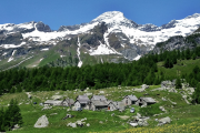 Ossola: a spasso con le Guide del Parco, pubblicato il calendario 2026